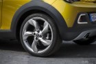 thn_opeladamrockst26.jpg