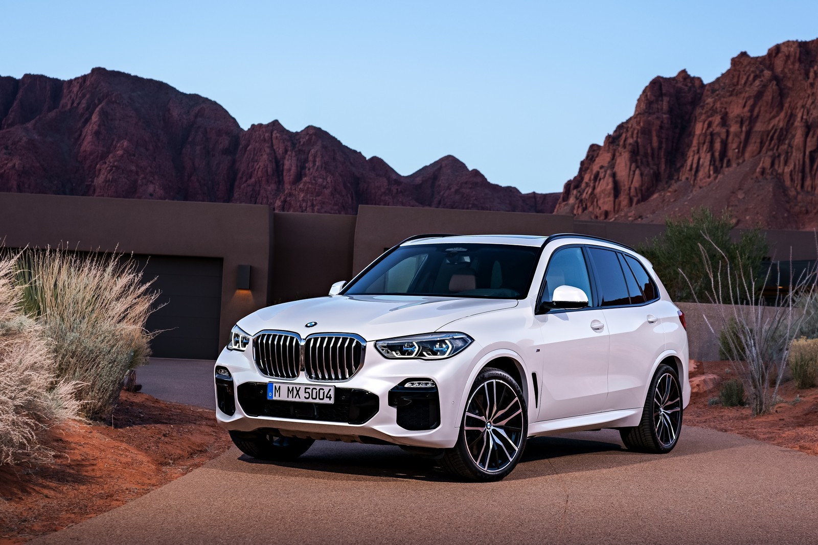 Nuova BMW X5