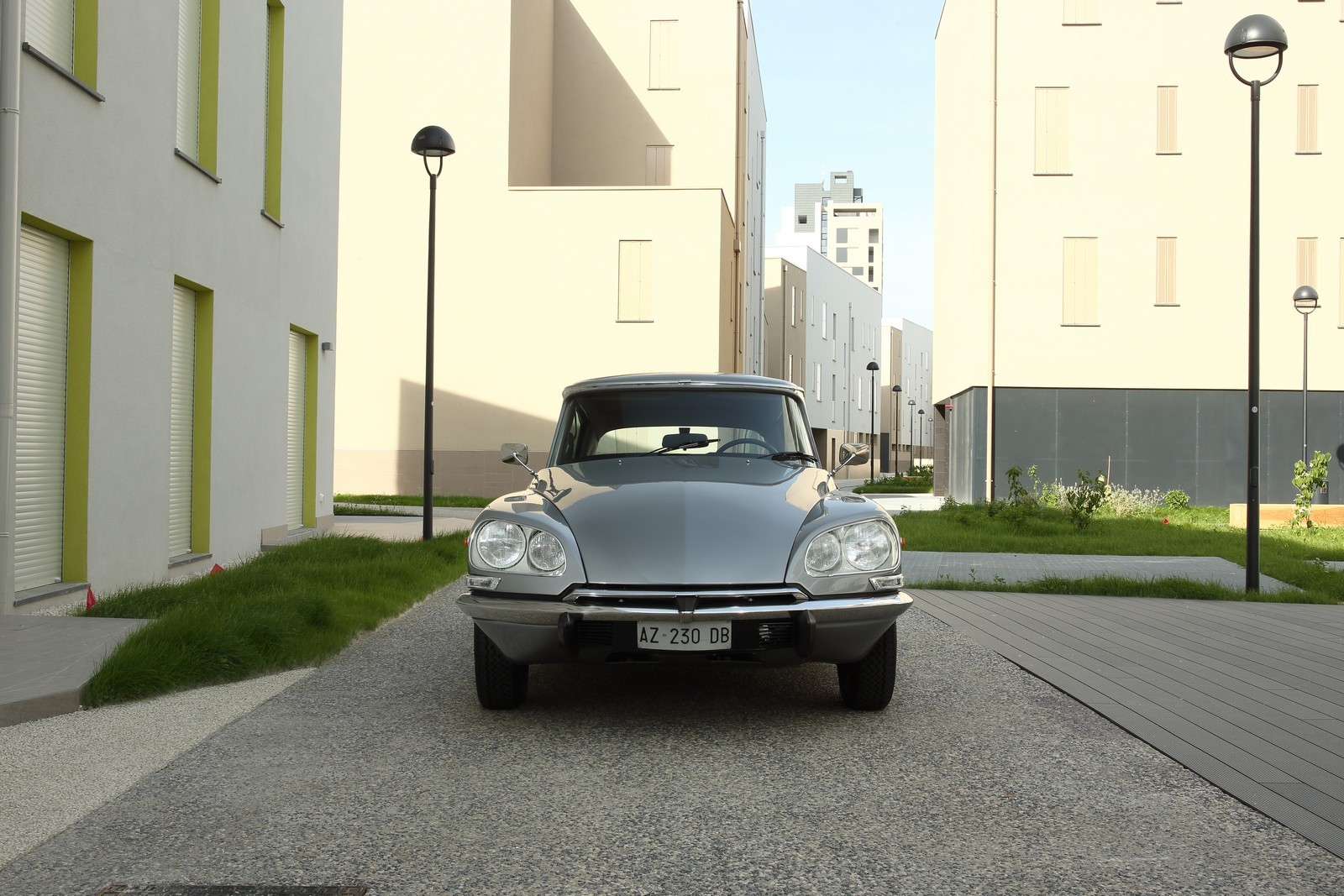ds23-pallas-11.jpg