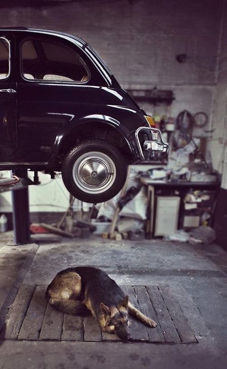 fiat_500_57.jpg