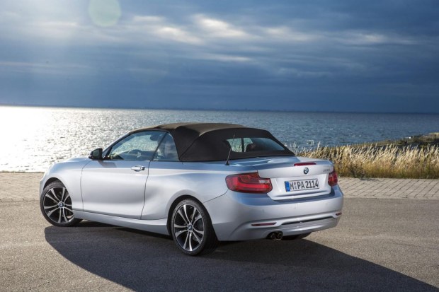 BMW Serie 2 Cabrio