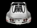 Bugatti Veyron 16.4 Grand Sport Roadster