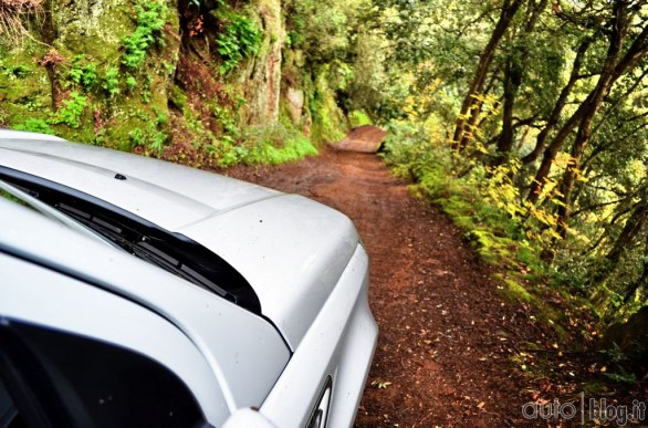 Land Rover Freelander 2013 test