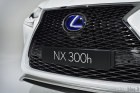Lexus NX 2014: tutte le foto del Suv compatto