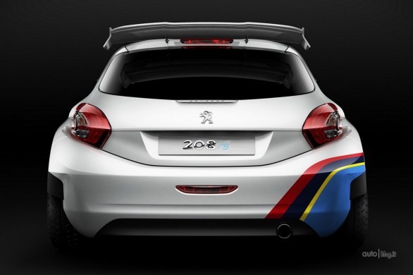 Peugeot 208 R5